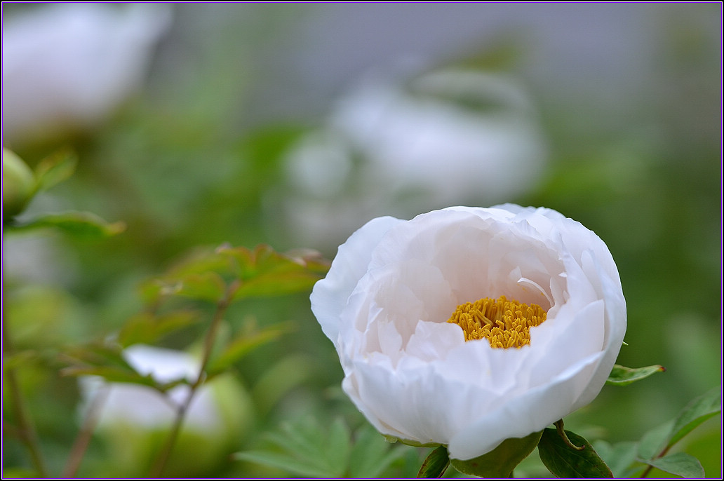 DSC_1147.jpg