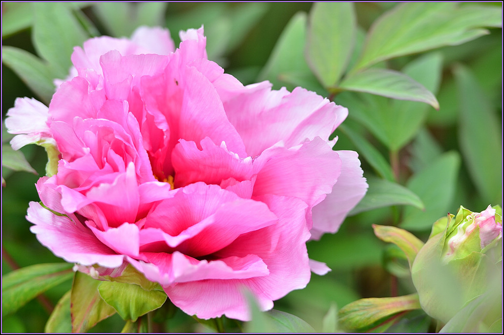 DSC_1161.jpg