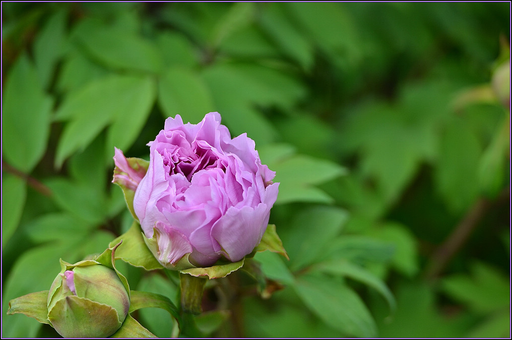 DSC_1160.jpg