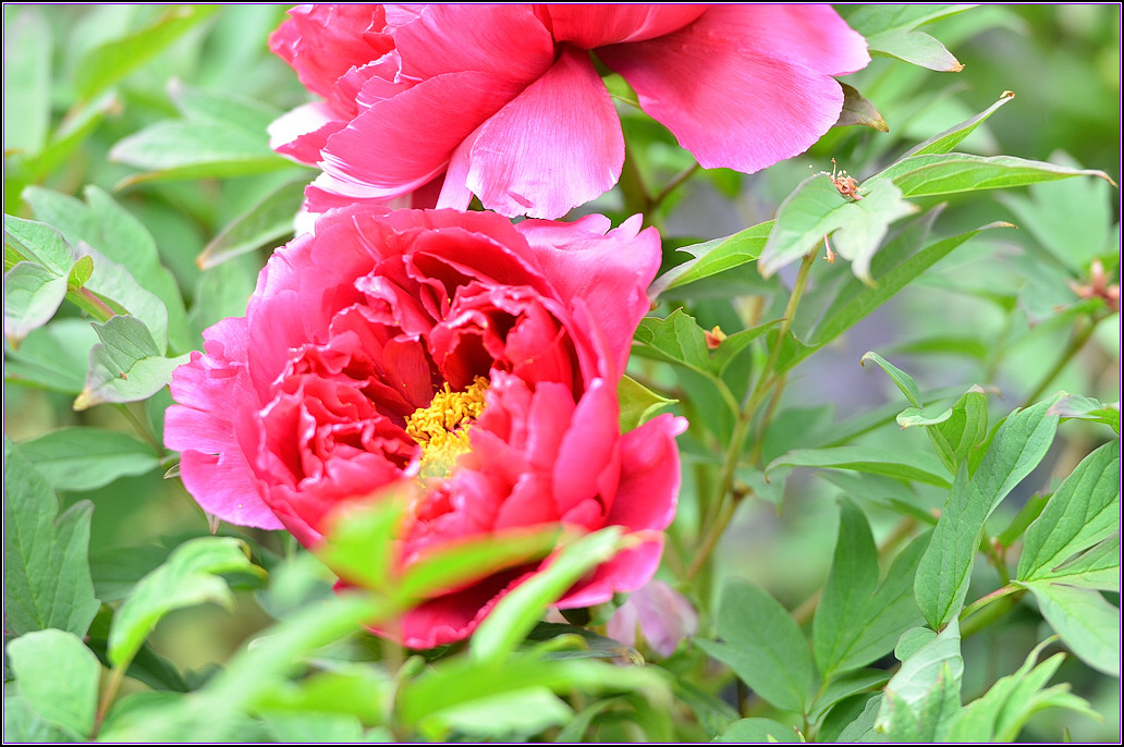 DSC_1173.jpg