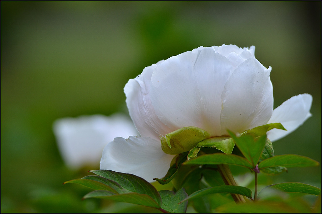 DSC_1140.jpg