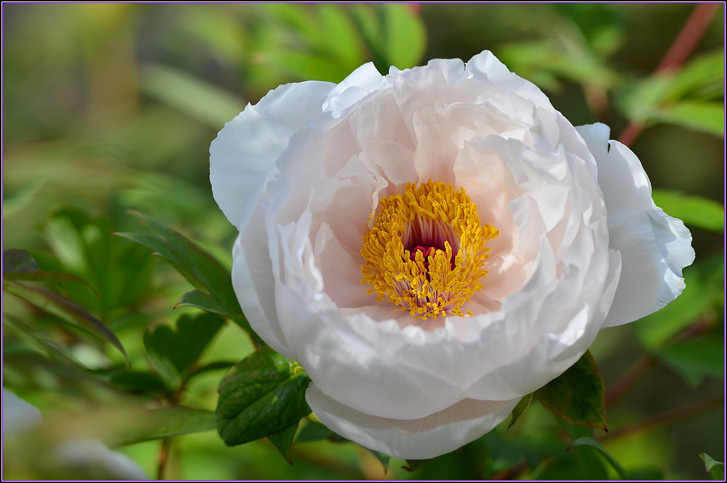 DSC_1113.jpg
