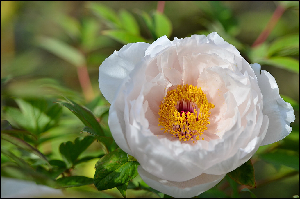 DSC_1114.jpg