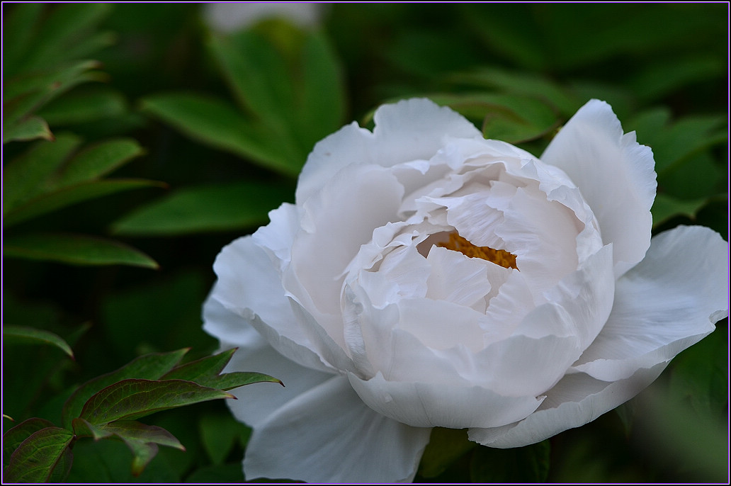 DSC_1128.jpg