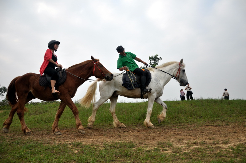 DSC_0072.jpg