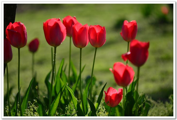 nEO_IMG_DSC_1885.jpg