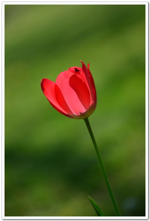 nEO_IMG_DSC_2019.jpg