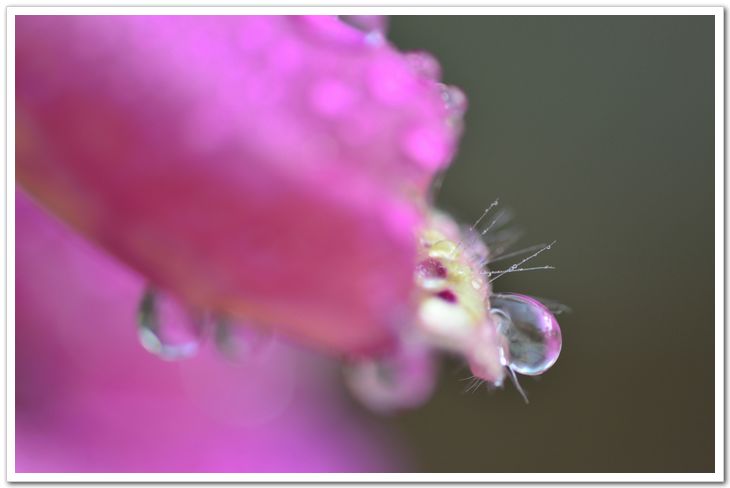 nEO_IMG_DSC_6011.jpg