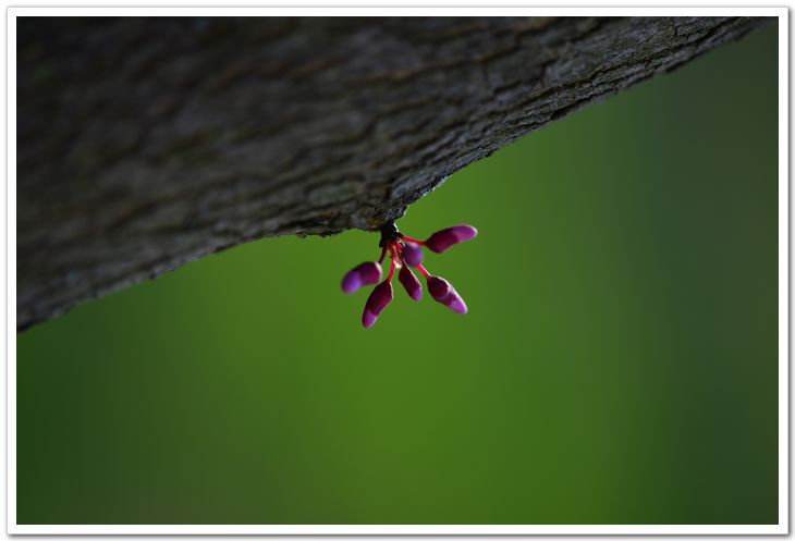 nEO_IMG_DSC_1980.jpg