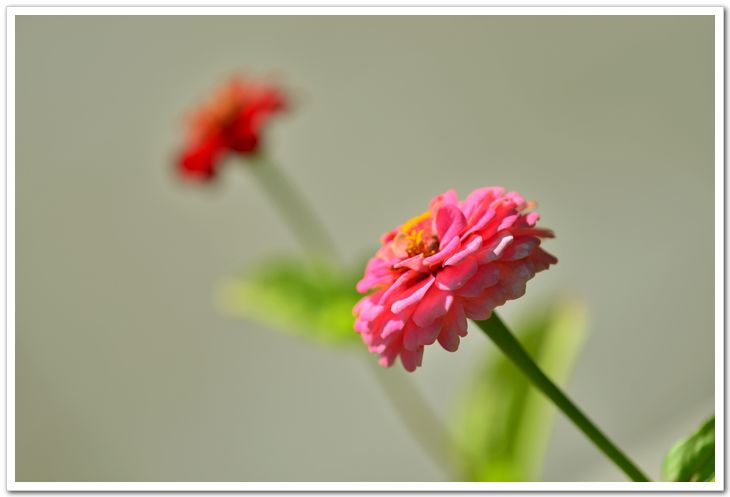 nEO_IMG_DSC_5895.jpg