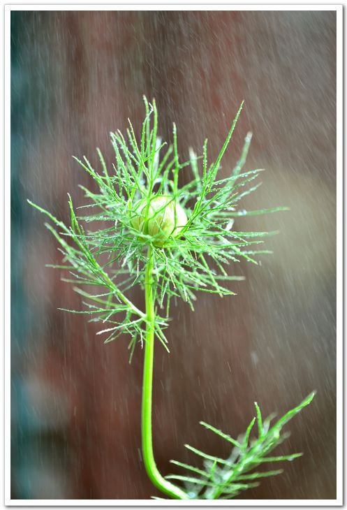 nEO_IMG_DSC_6051.jpg