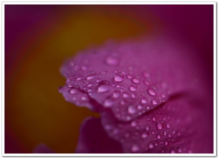 nEO_IMG_DSC_5993.jpg
