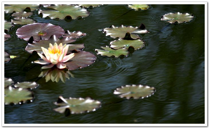 nEO_IMG_DSC_5893.jpg
