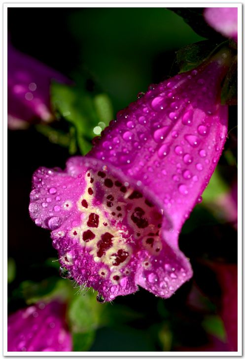 nEO_IMG_DSC_6078.jpg