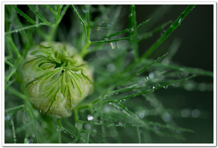 nEO_IMG_DSC_6058.jpg