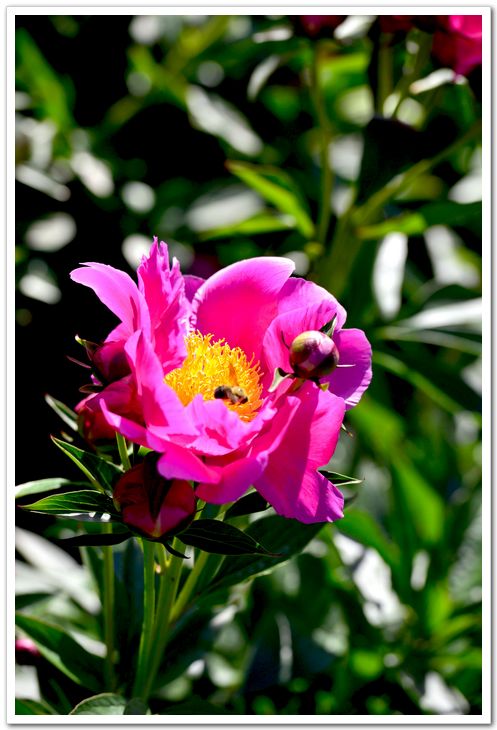 nEO_IMG_DSC_6584.jpg