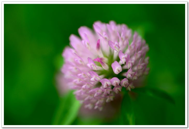 nEO_IMG_DSC_6177.jpg