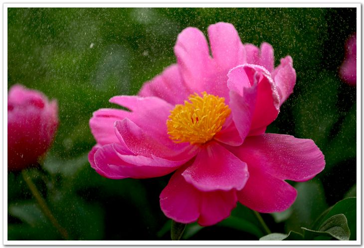 nEO_IMG_DSC_5991.jpg