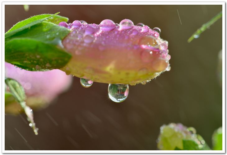 nEO_IMG_DSC_6085.jpg
