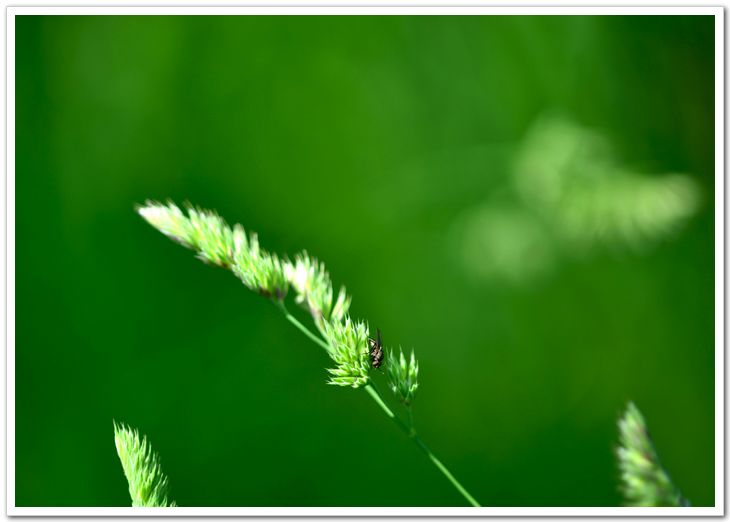 nEO_IMG_DSC_5942.jpg