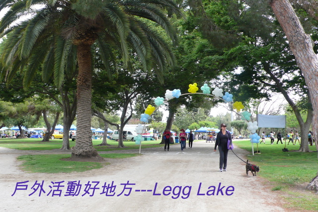 P1260781-001.JPG