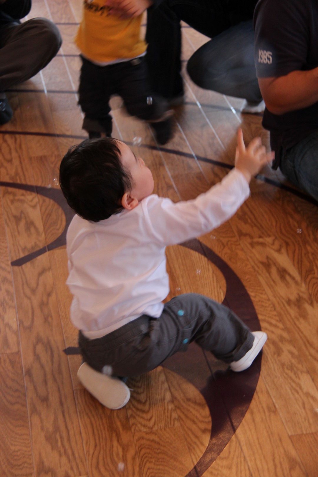 IMG_7521 (Large).JPG