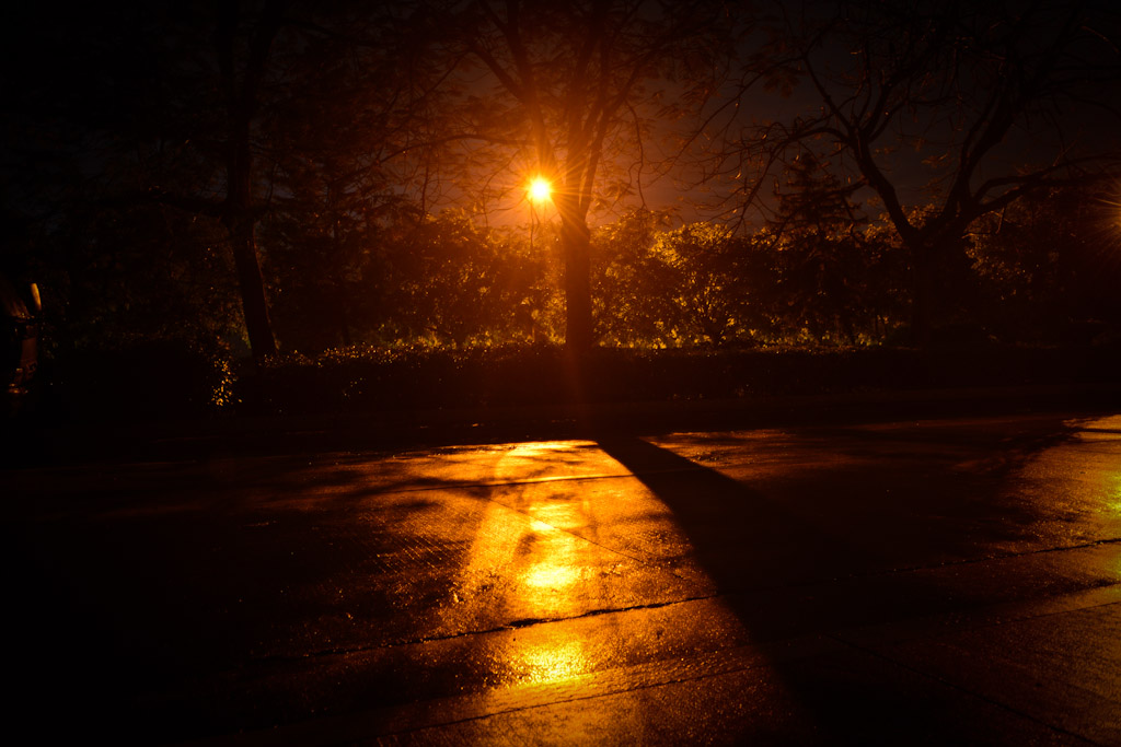 DSC_8776.jpg