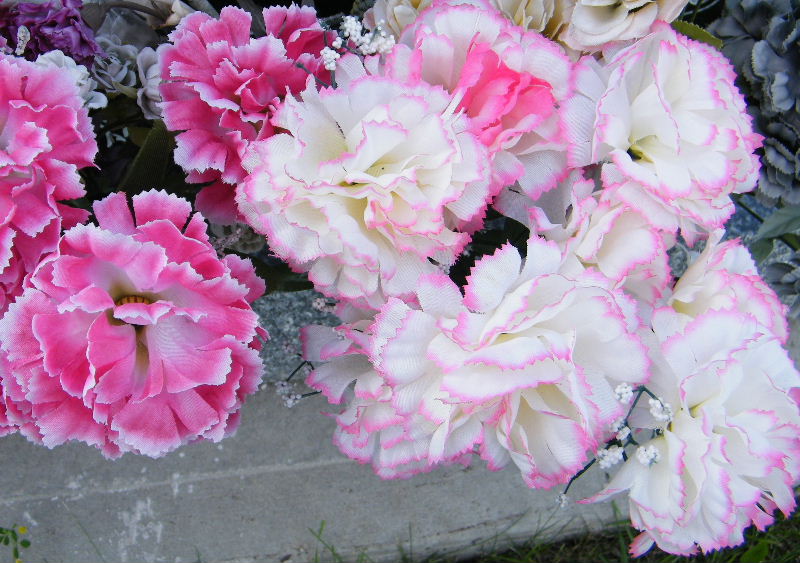 DSCF6056.JPG