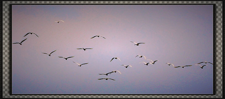 IMG_3106.jpg