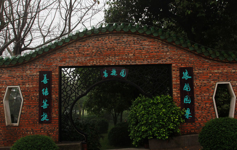 IMG_7730.jpg