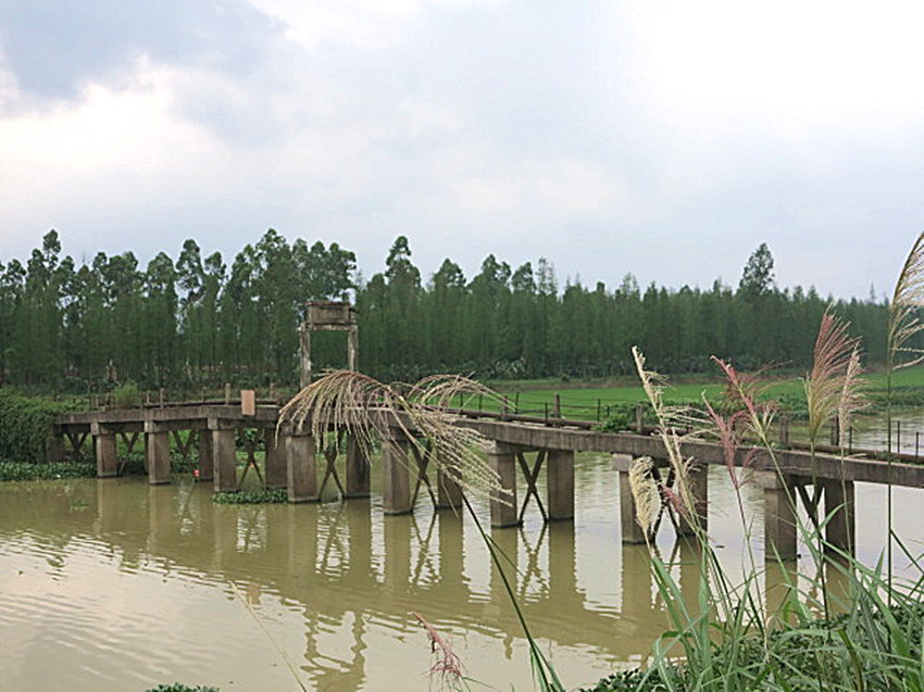 Picture 2185_.jpg