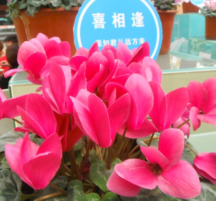 QQͼ20130331124357.jpg