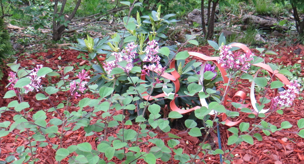 IMG_0001_3074.jpg