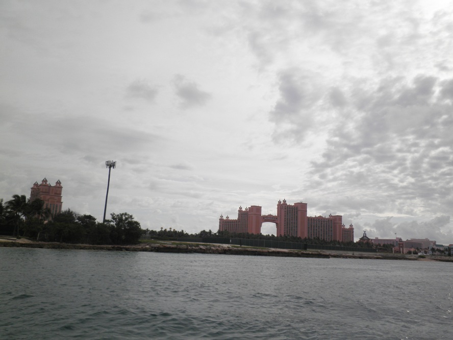P5200049.JPG