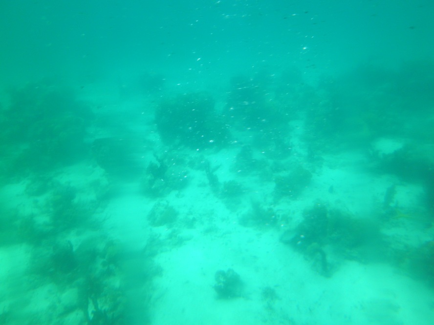 P5200062.JPG