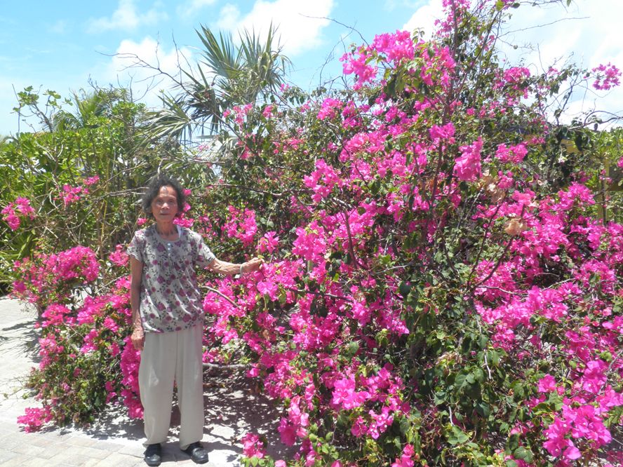 Half Moon Cay½ѵһҊ