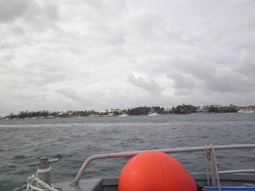 P5200053.JPG