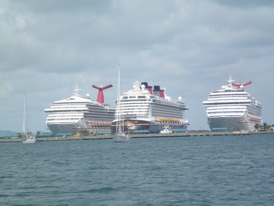 Cruise