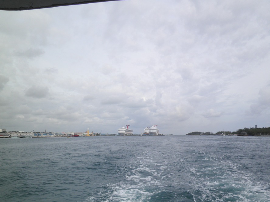 P5200048.JPG
