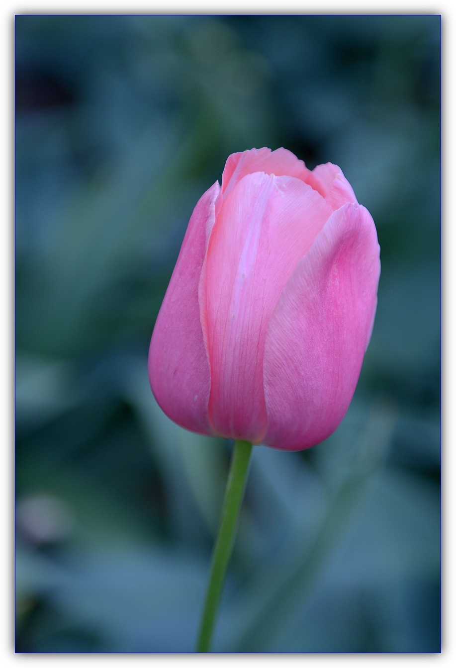 DSC_1032.jpg