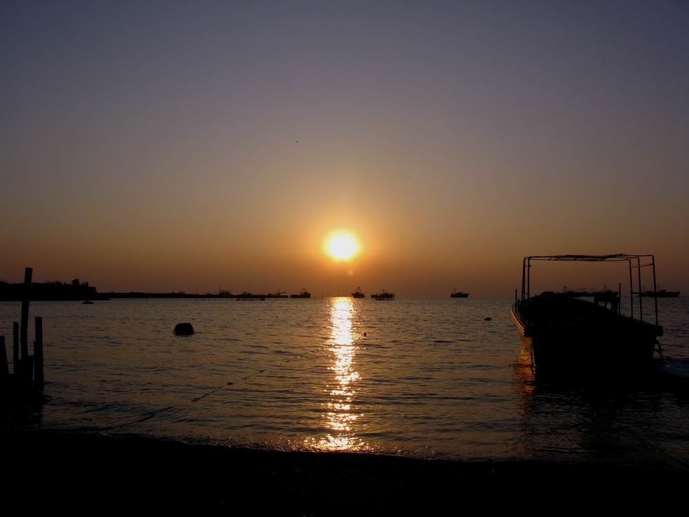 IMG_6031.JPG