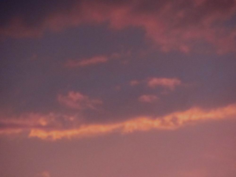 IMG_4709.JPG