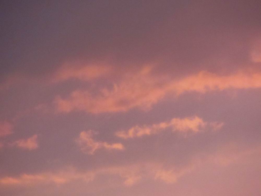 IMG_4707.JPG