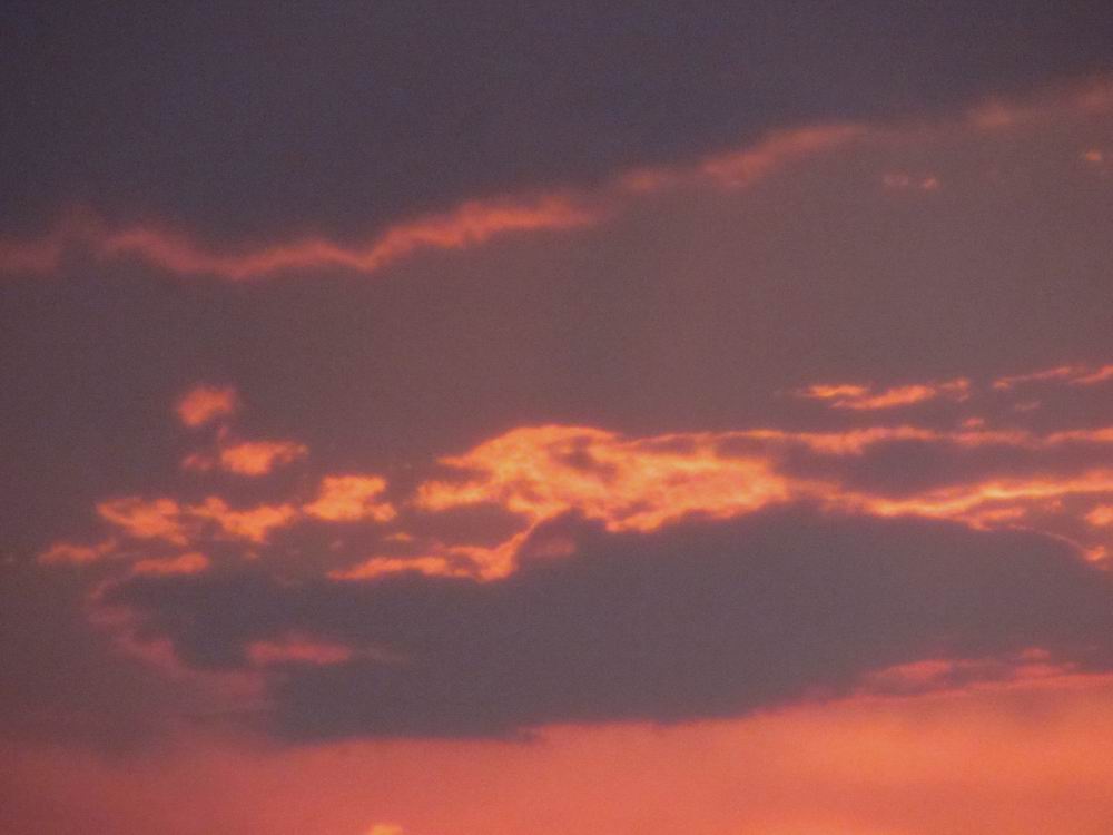 IMG_4708.JPG