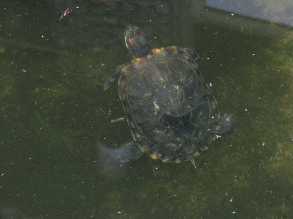 IMG_2985.JPG