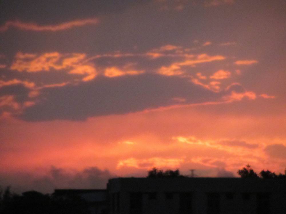 IMG_4705.JPG