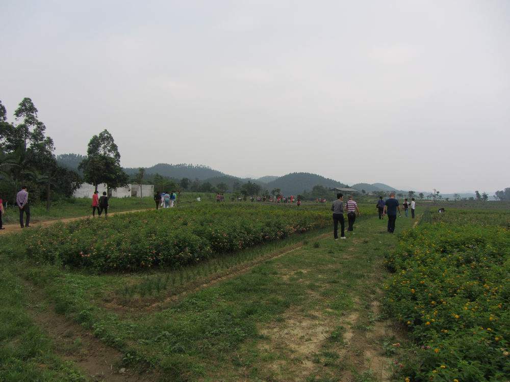 IMG_5378.JPG