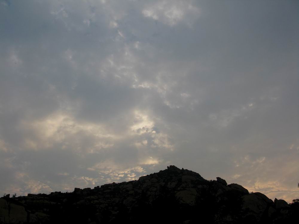 IMG_1785.JPG