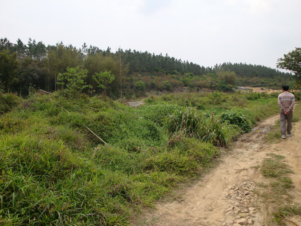 FILE0544.JPG
