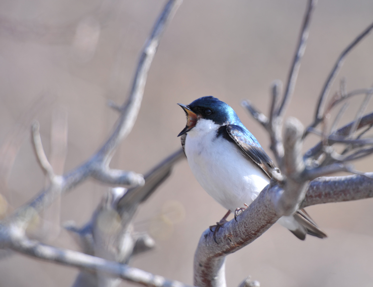 DSC_1623.jpg